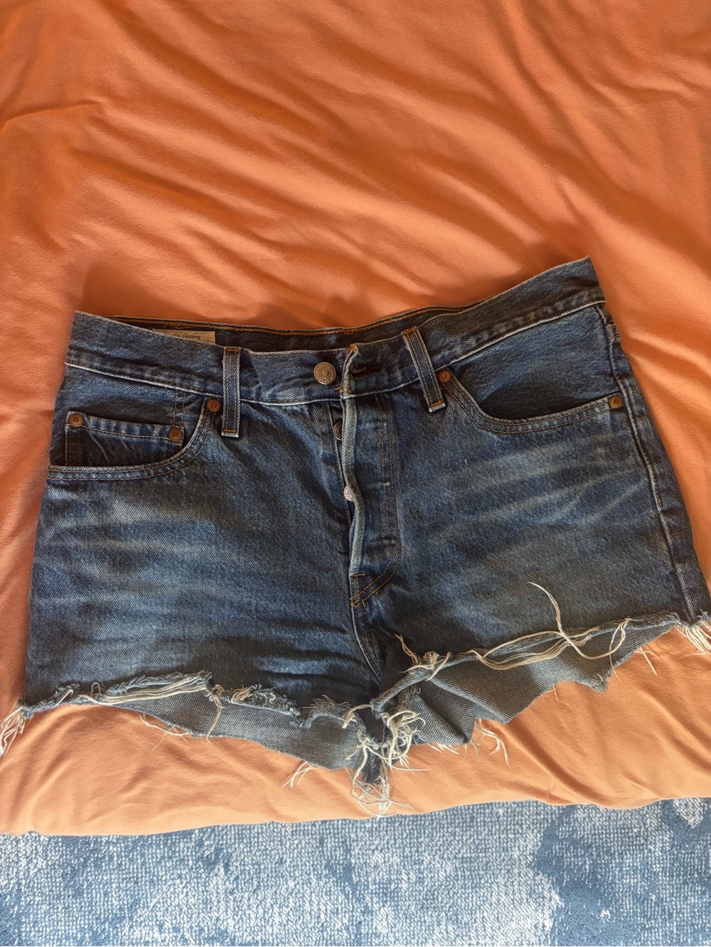 Aritzia Levi’s High-Rise Denim Cutoff Shorts